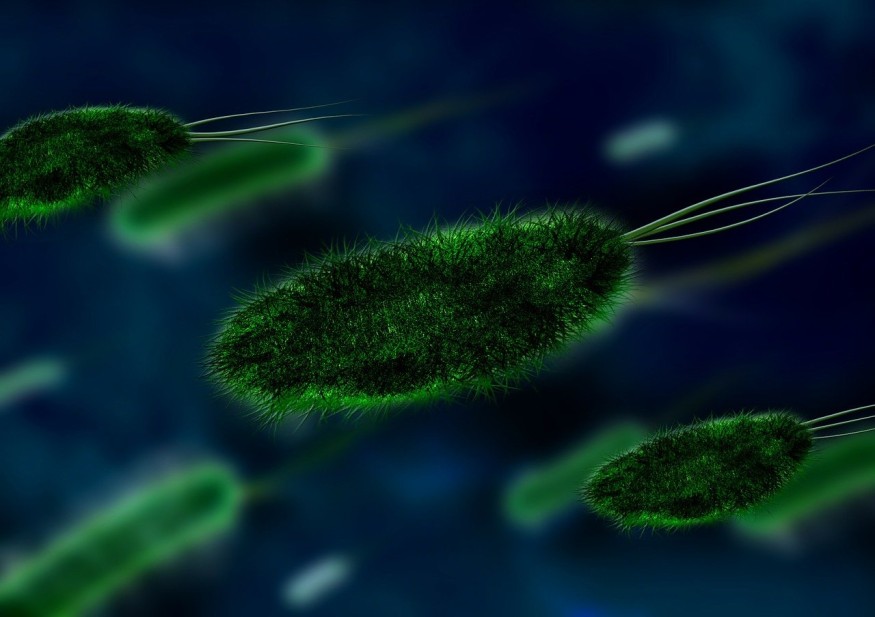 Contaminated Ready Meals From California Plant Hospitalize 10 With Listeria