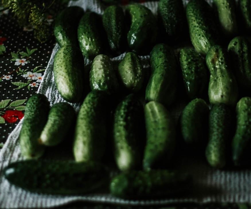Cucumbers Recalled in 15 States After Salmonella Outbreak Sickens Over