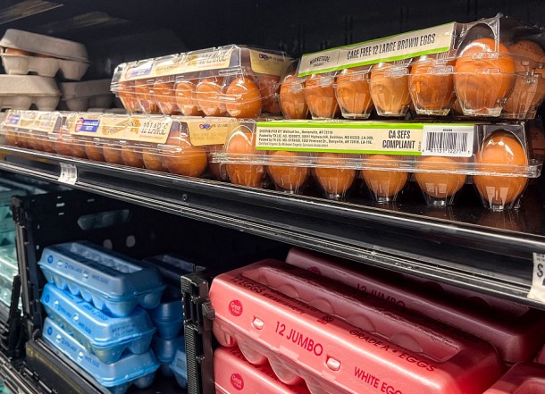 Walmart, Safeway Among Stores Affected by Salmonella Egg Recall Across
