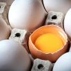 Pennsylvania Egg Heist: 100,000 Stolen Eggs Leave Police Scrambling for