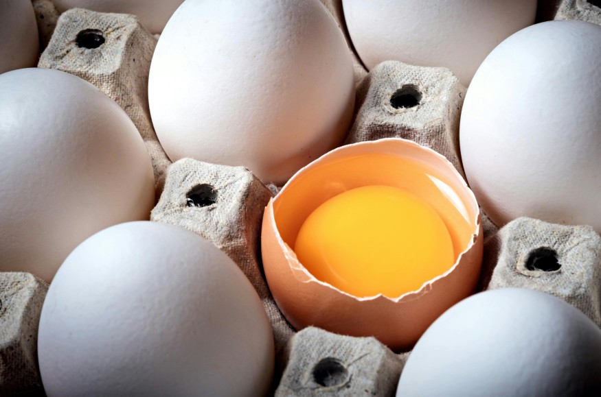 Pennsylvania Egg Heist: 100,000 Stolen Eggs Leave Police Scrambling for