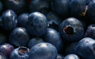 Oregon Potato Company Recalls 55,000 Pounds of Frozen Blueberries Over
