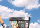 Hudsonville ice cream