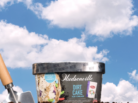 Hudsonville ice cream