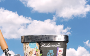 Hudsonville ice cream