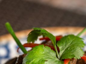 A dish with cilantro