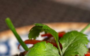 A dish with cilantro