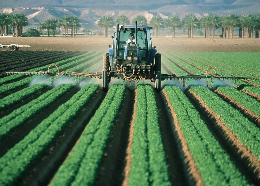 Food World News - Intensive Farming Is Eating up the Australian Continent – but There's Another Way