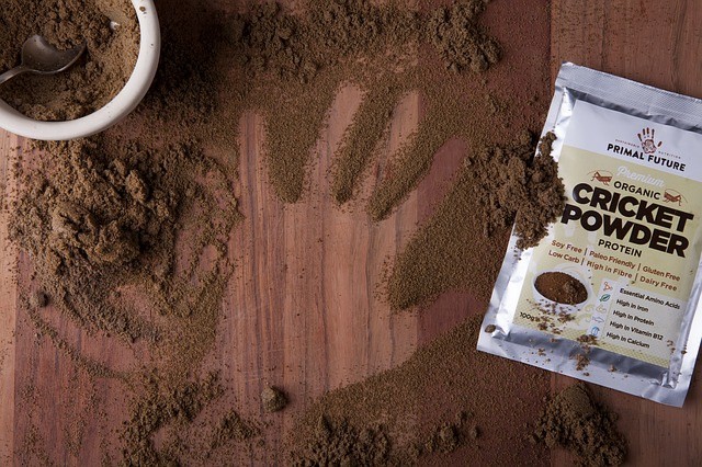 Protein Powder