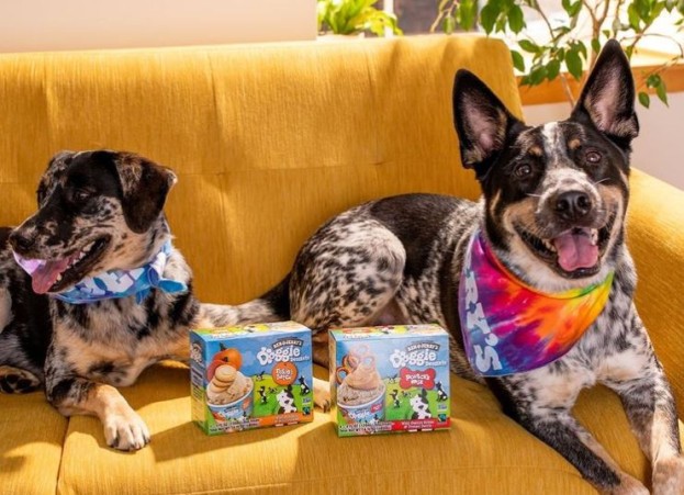 Ben & Jerry's Introduces Pet-friendly Ice Cream Treat For Man's Best Friend