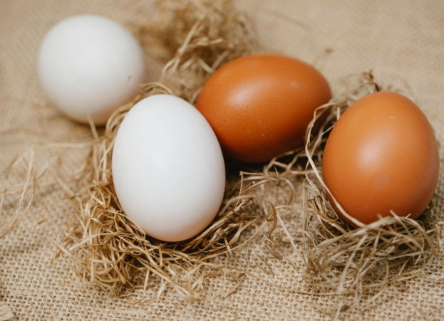 Eggs