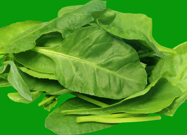 Spinach